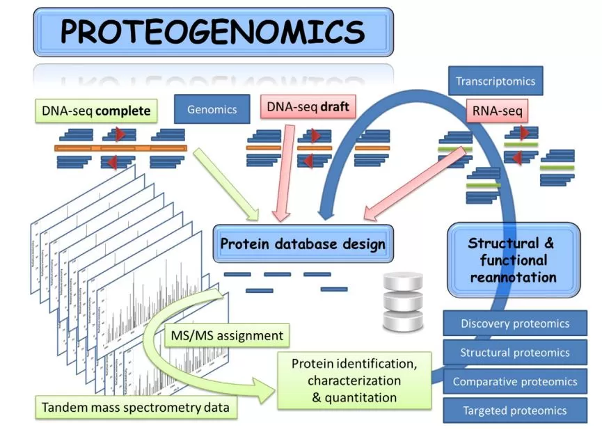 Figure 1. Proteogenomics for non-model organisms (Jean Armengaud et al, J Prot , 2014)